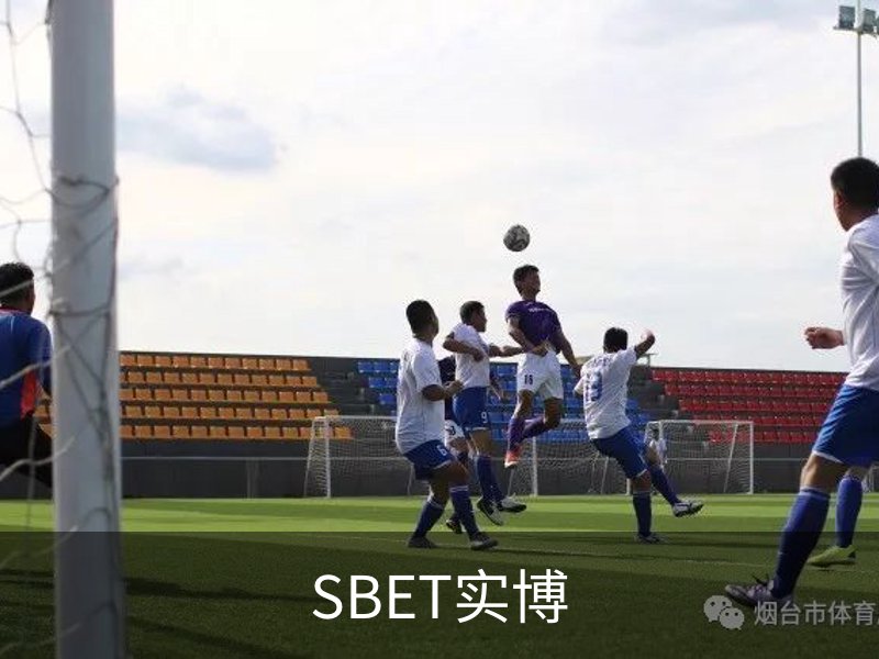 SBET实博介绍